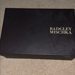 Beautiful pair of Badgley Mischka shoes